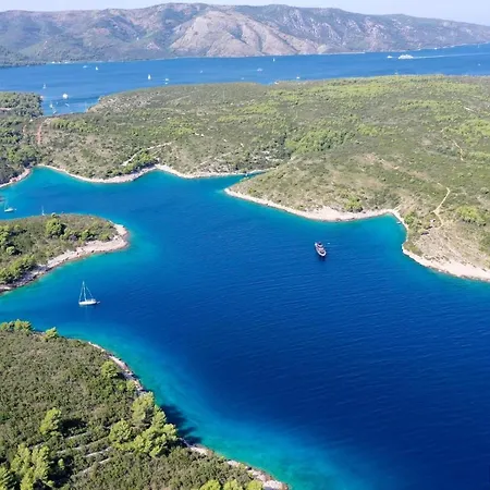 Nella Hvar *