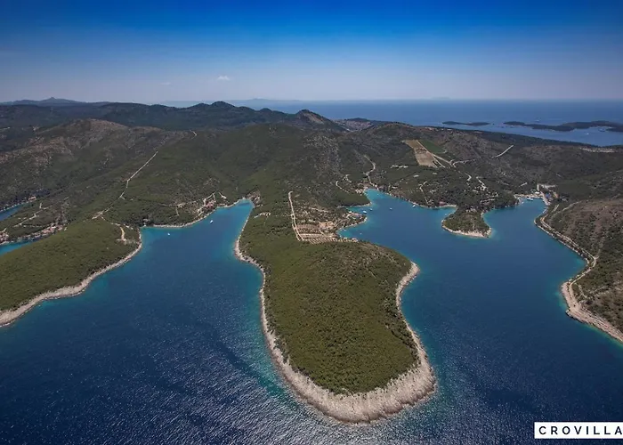 Nella Hvar *
