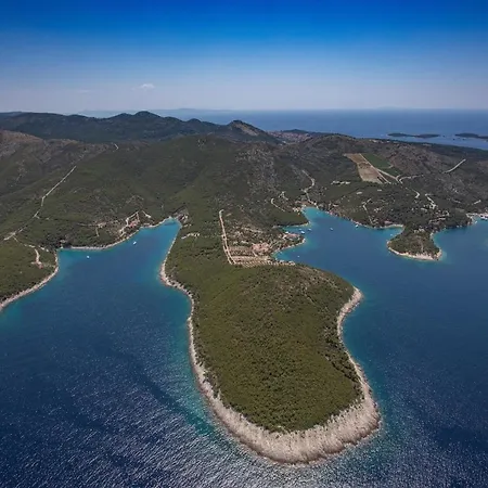 Nella Hvar *