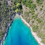 Nella Hvar Rudina